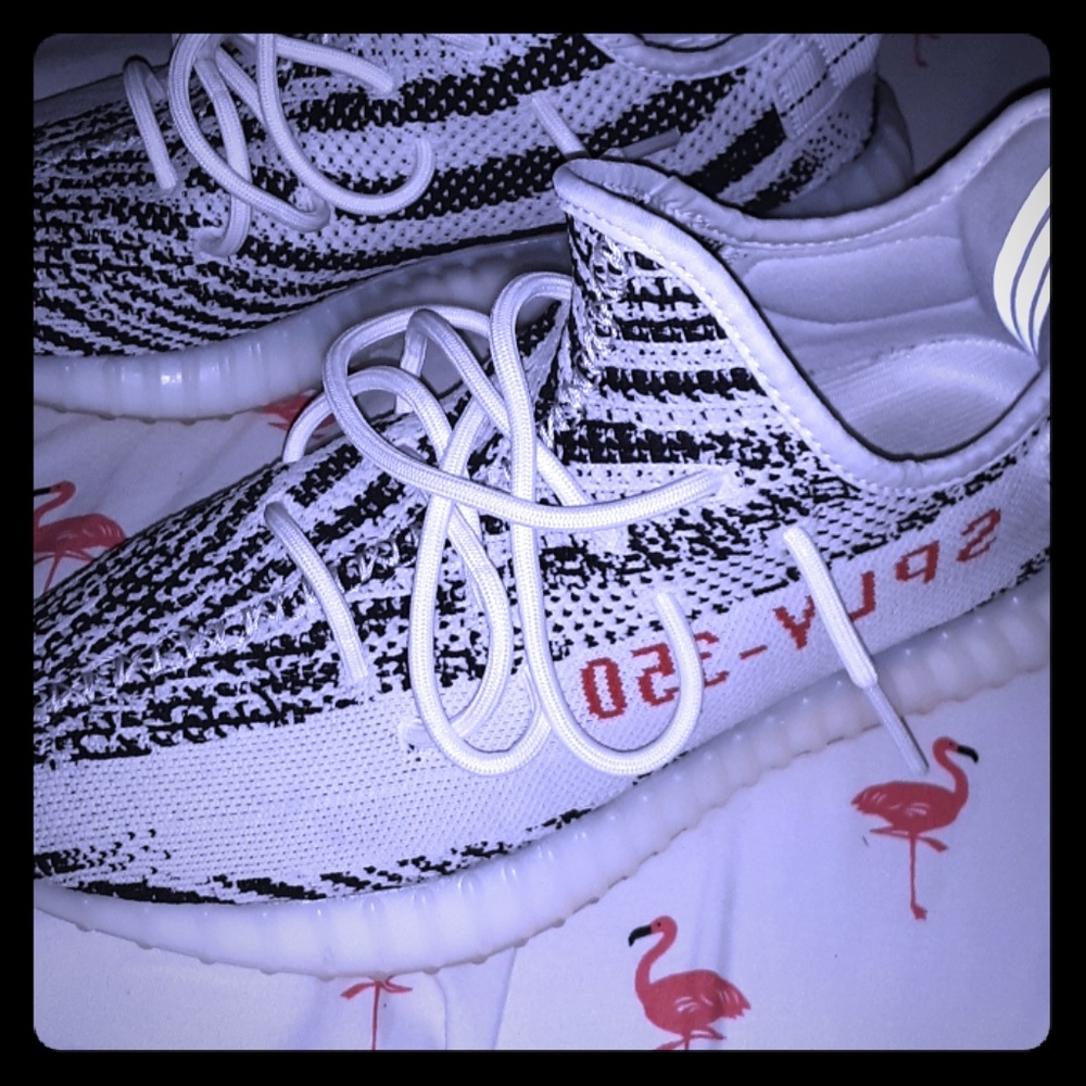 Zebra yeezys